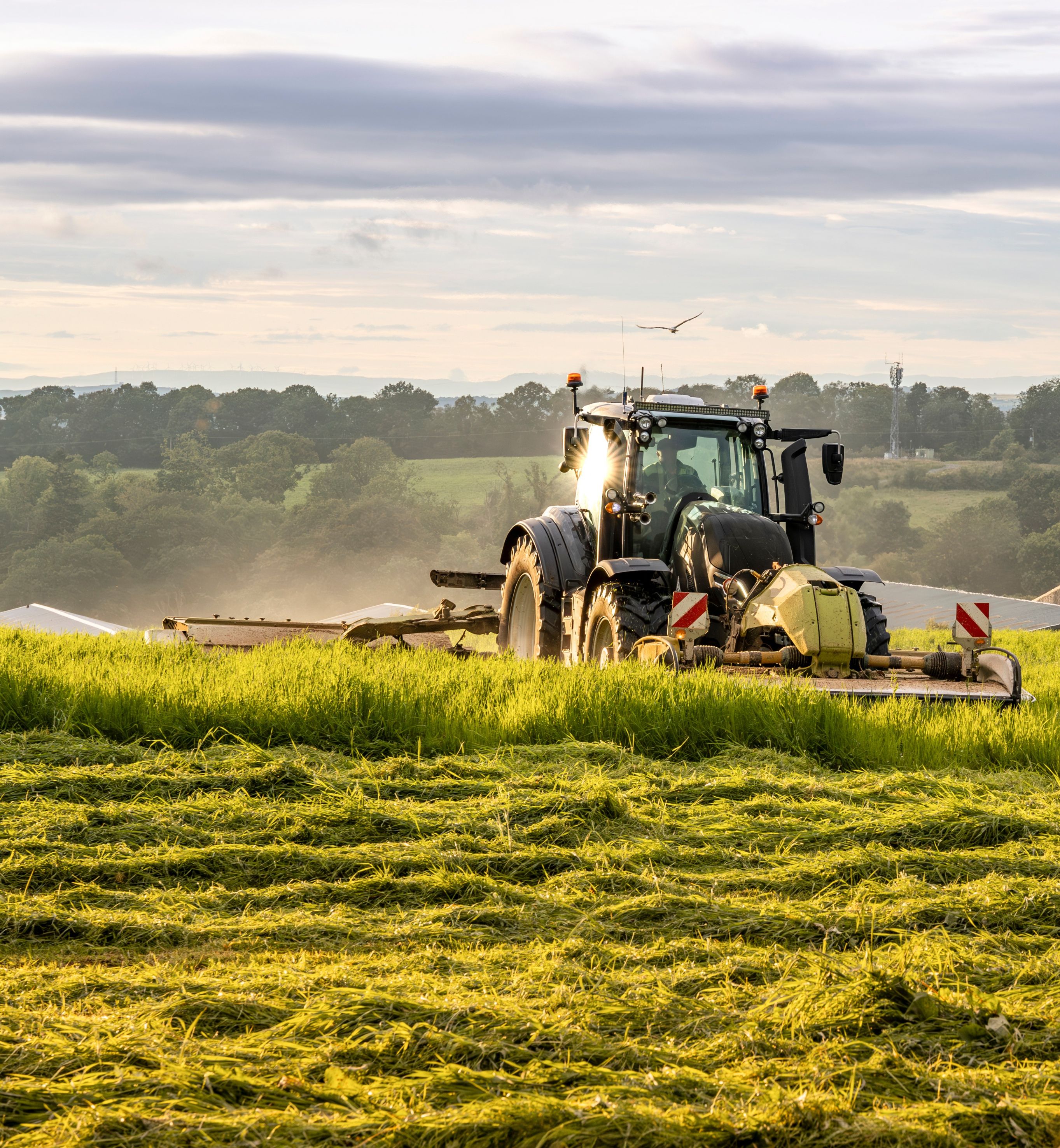 Farm tractor and mower cutting hay field at sunset