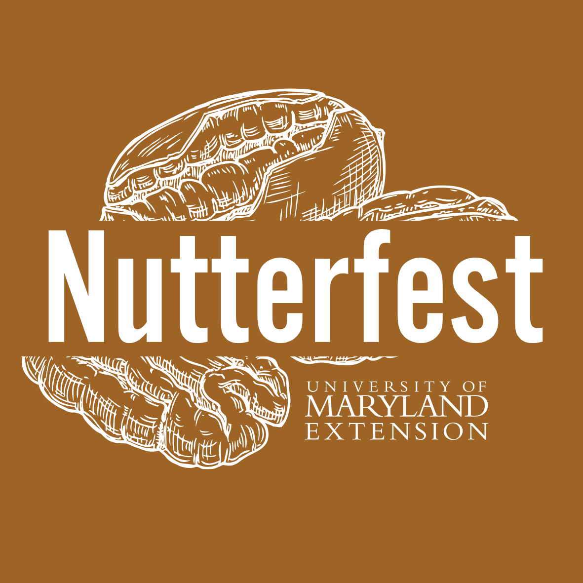 Image of nuts with Nutterfest festival name and University of Maryland logo. 