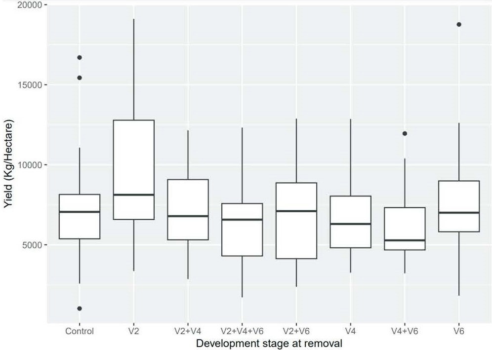 Mean grain yields of plants fig 1 Maize