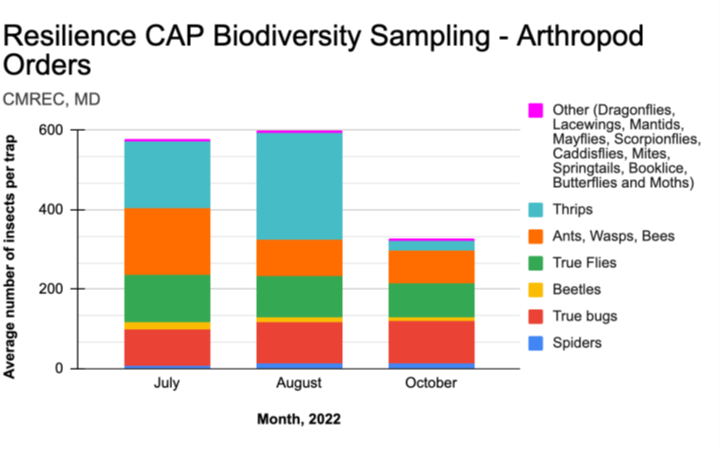 Fig 2 Preliminary arthropod sampling data