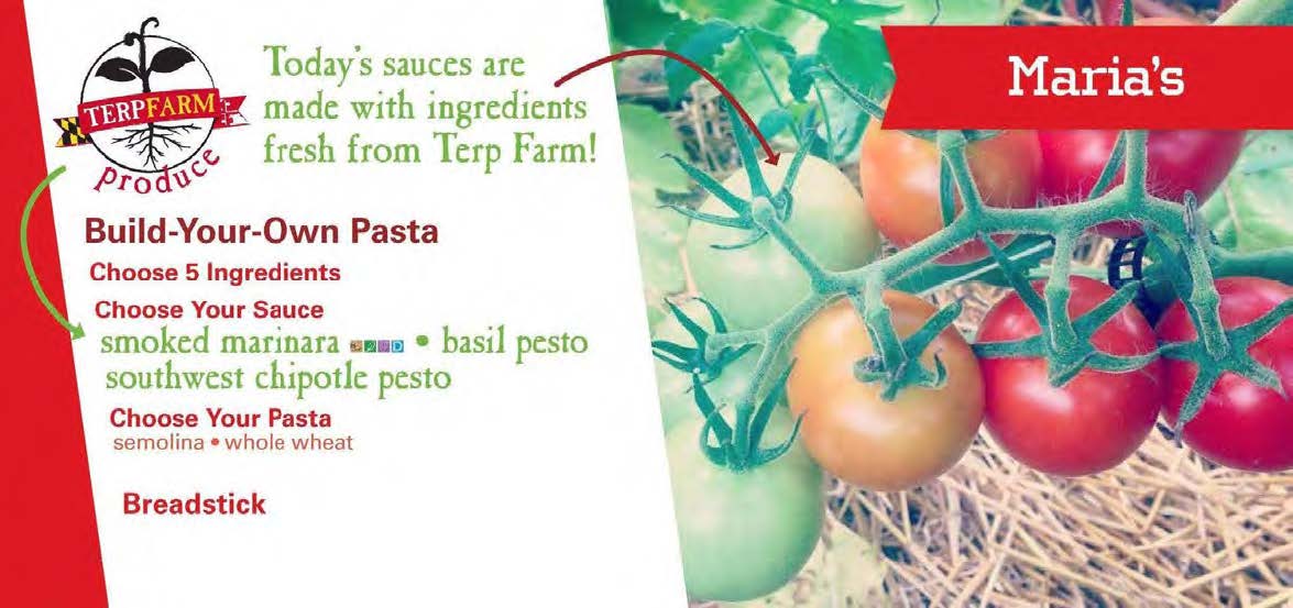 TerpFarm bld your own pasta flyer