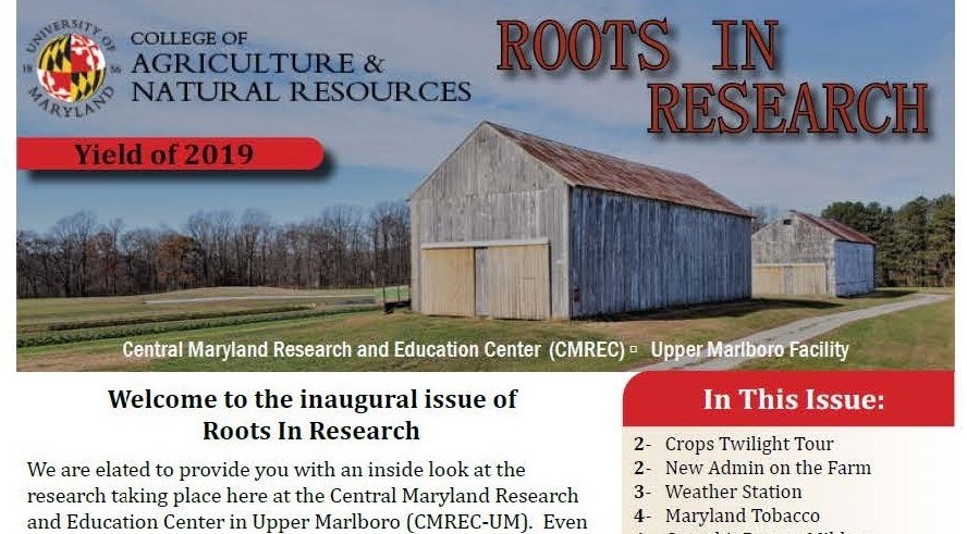 Roots in Research 2019