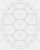 Turtle shell logo