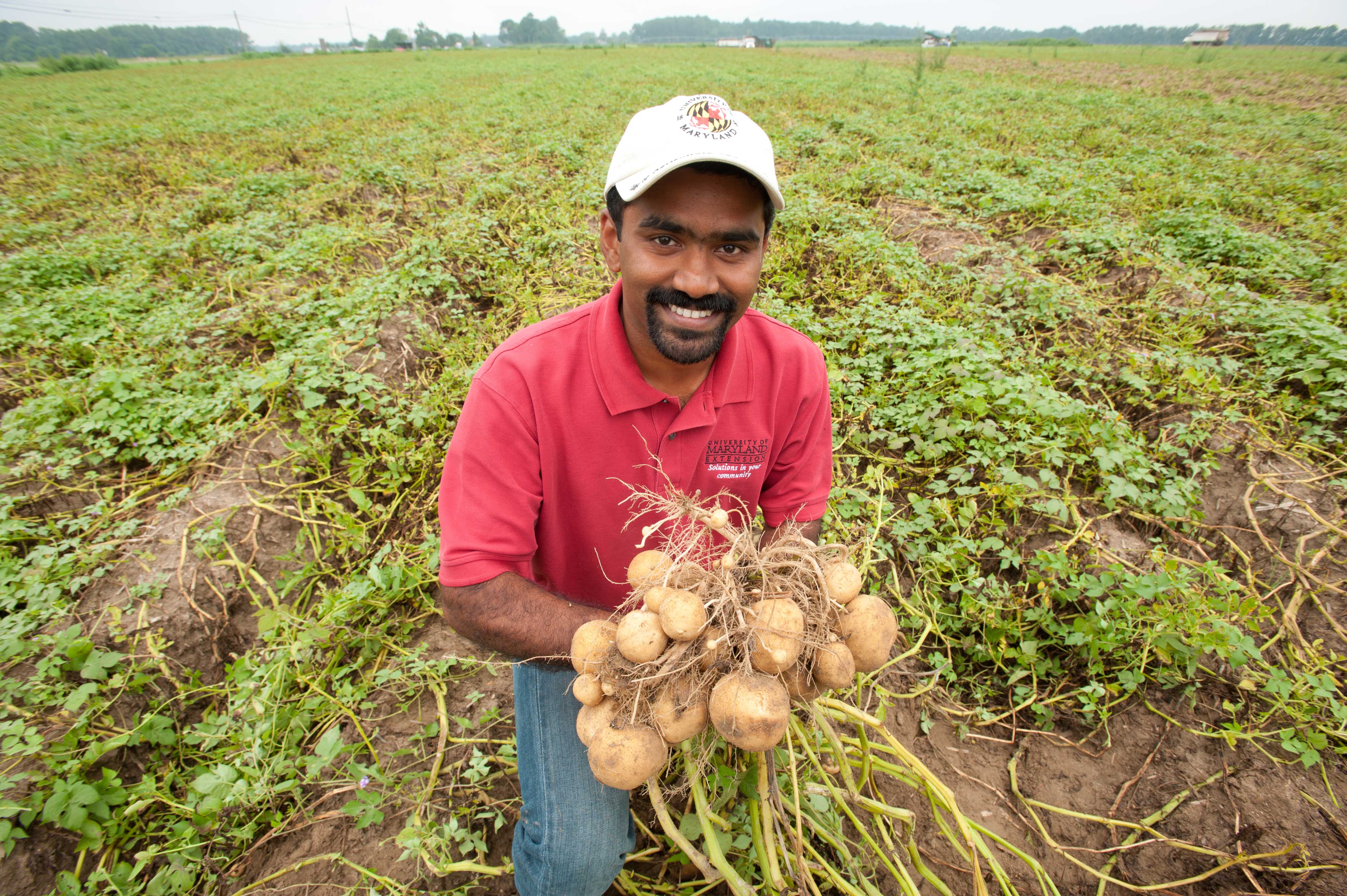 Researcher in field with vegetables
