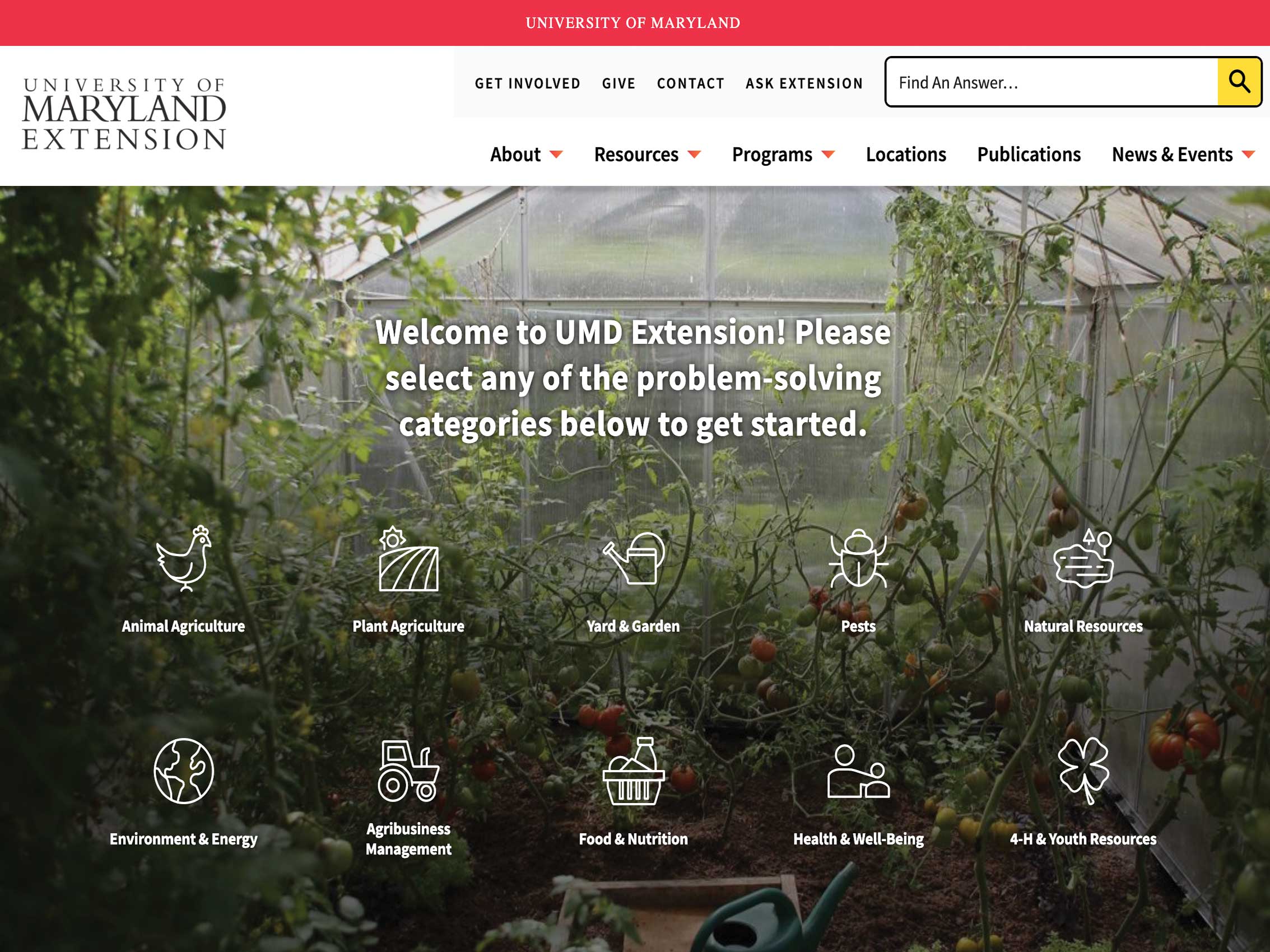 Extension website screenshot
