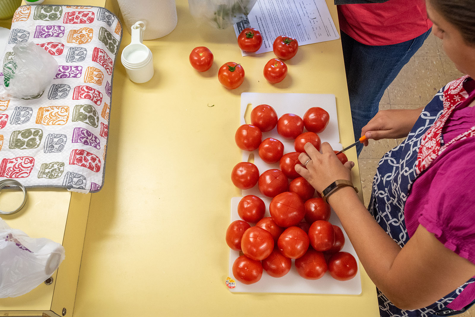 Photo of a person cutting up tomatoes 