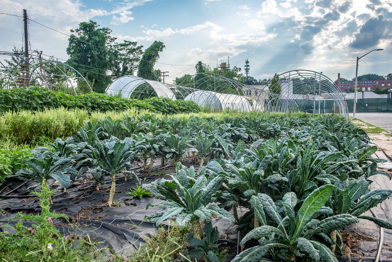Urban agriculture site
