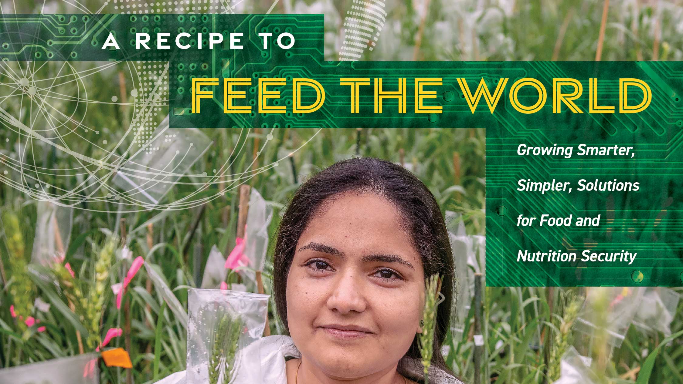 Recipe to Feed the World cover