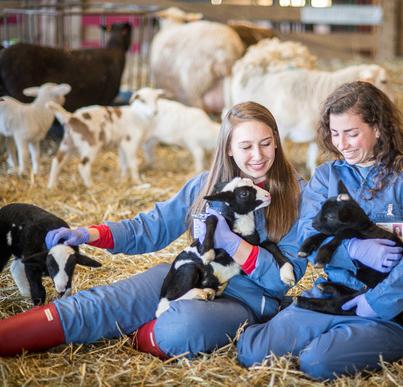 Animal Science | College of Agriculture & Natural Resources at UMD