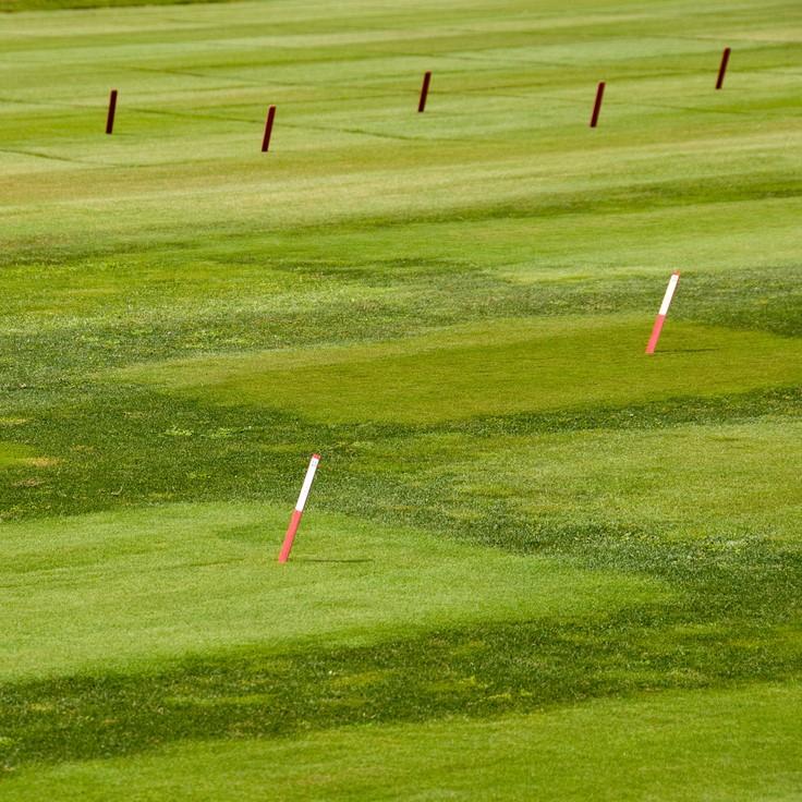 Turfgrass & Golf Course Management | College Of Agriculture & Natural ...