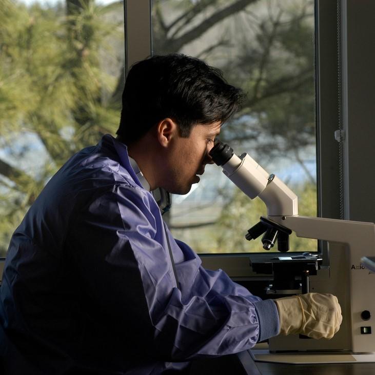 Researcher looking through a microscope in a lab