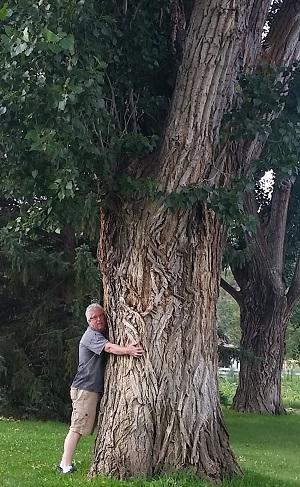 Dr. Coleman and cottonwood tree