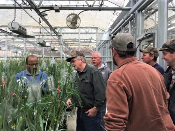 Tiwari with stakeholders in UMD research greenhouse