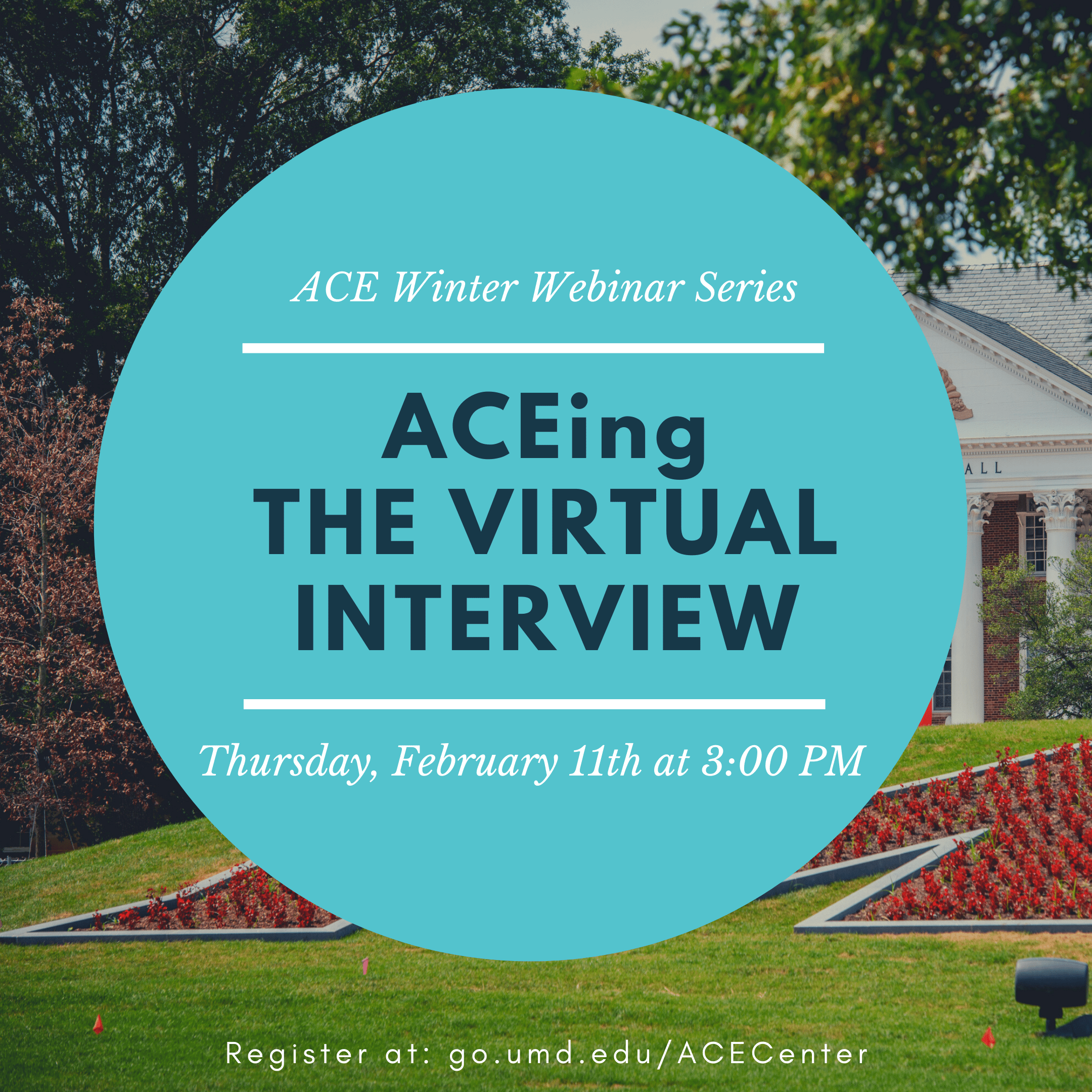 ACEing the Virtual Interview flyer with blue background and a photograph of the Maryland M circle blooming with red flowers