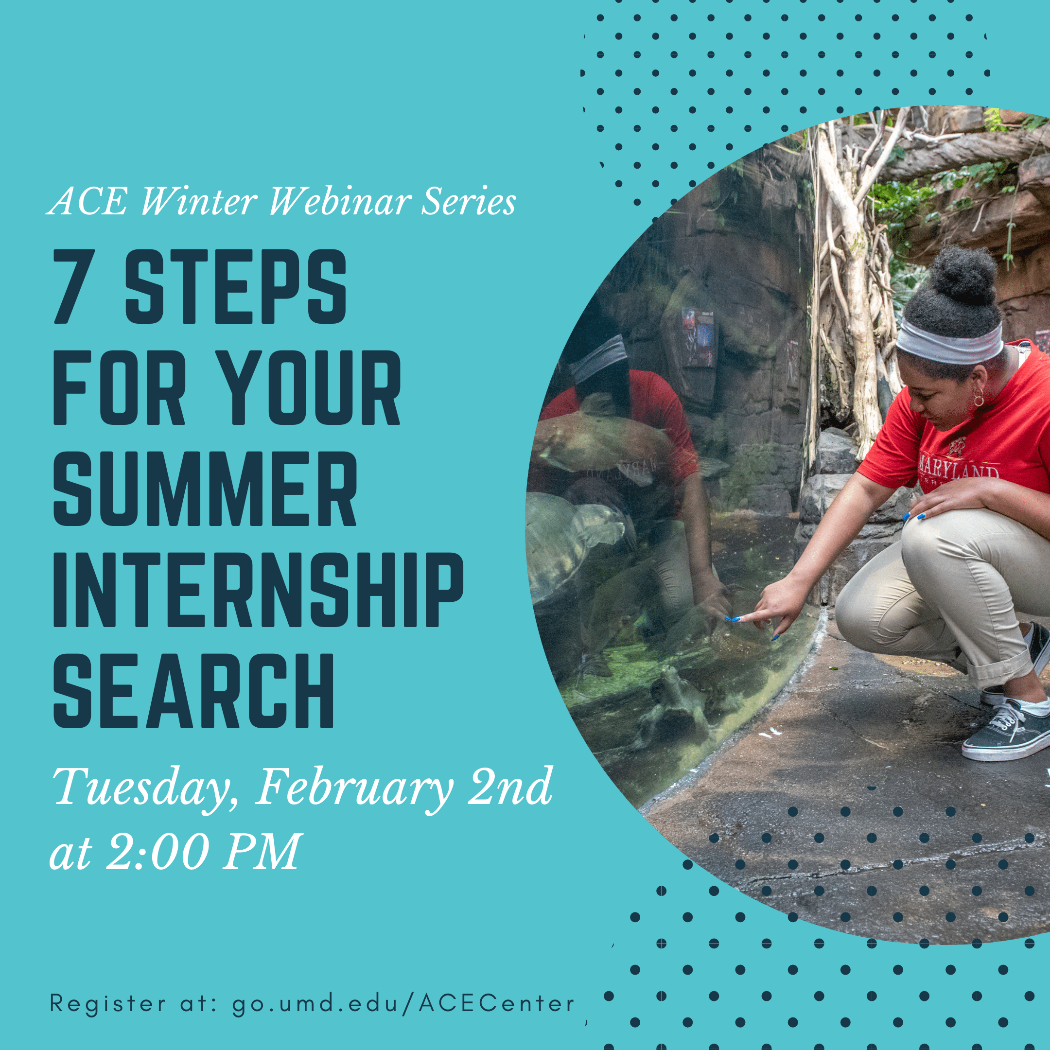 7 steps for your summer internship search flyer with a blue background and picture of a student pointing at a turtle swimming in the aquarium