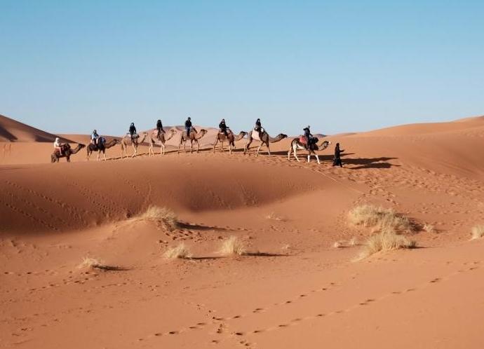 People riding camels in the desert 