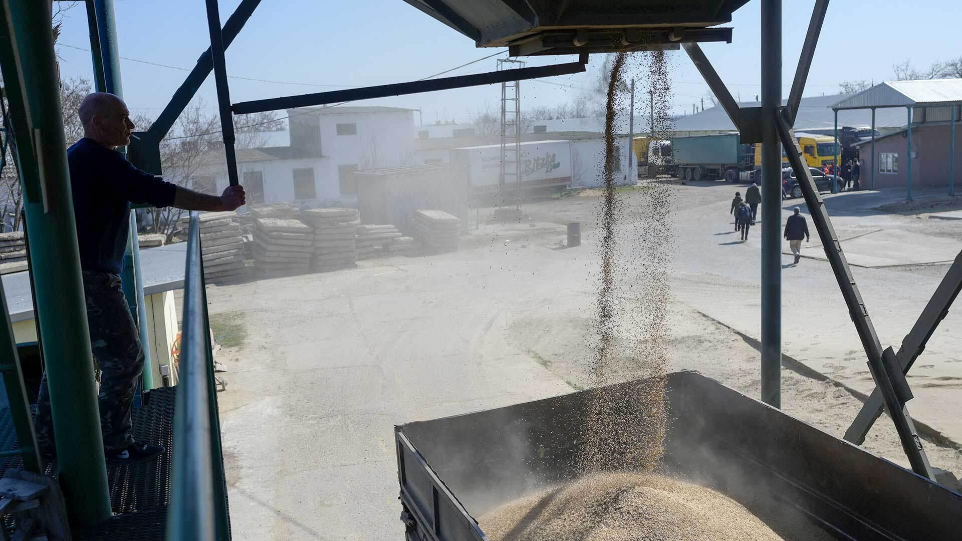 A worker fills a truck with wheat in a village in southwestern Ukraine.