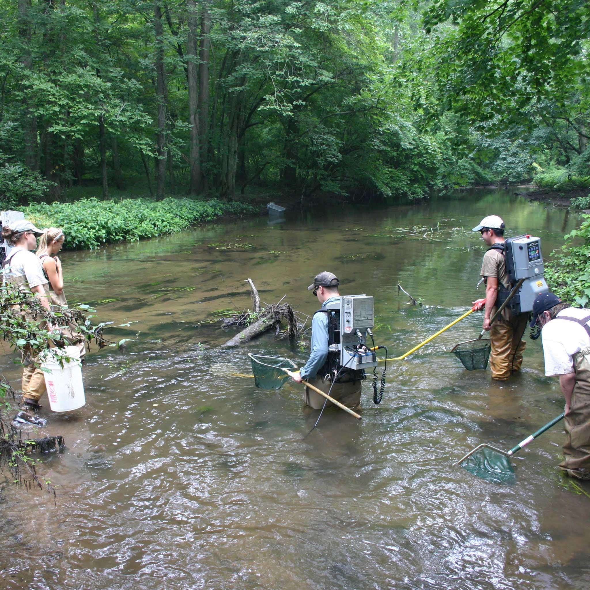 Students in a stream conducting research