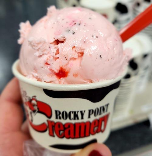 Cup of ice cream from Rocky Point Creamery 