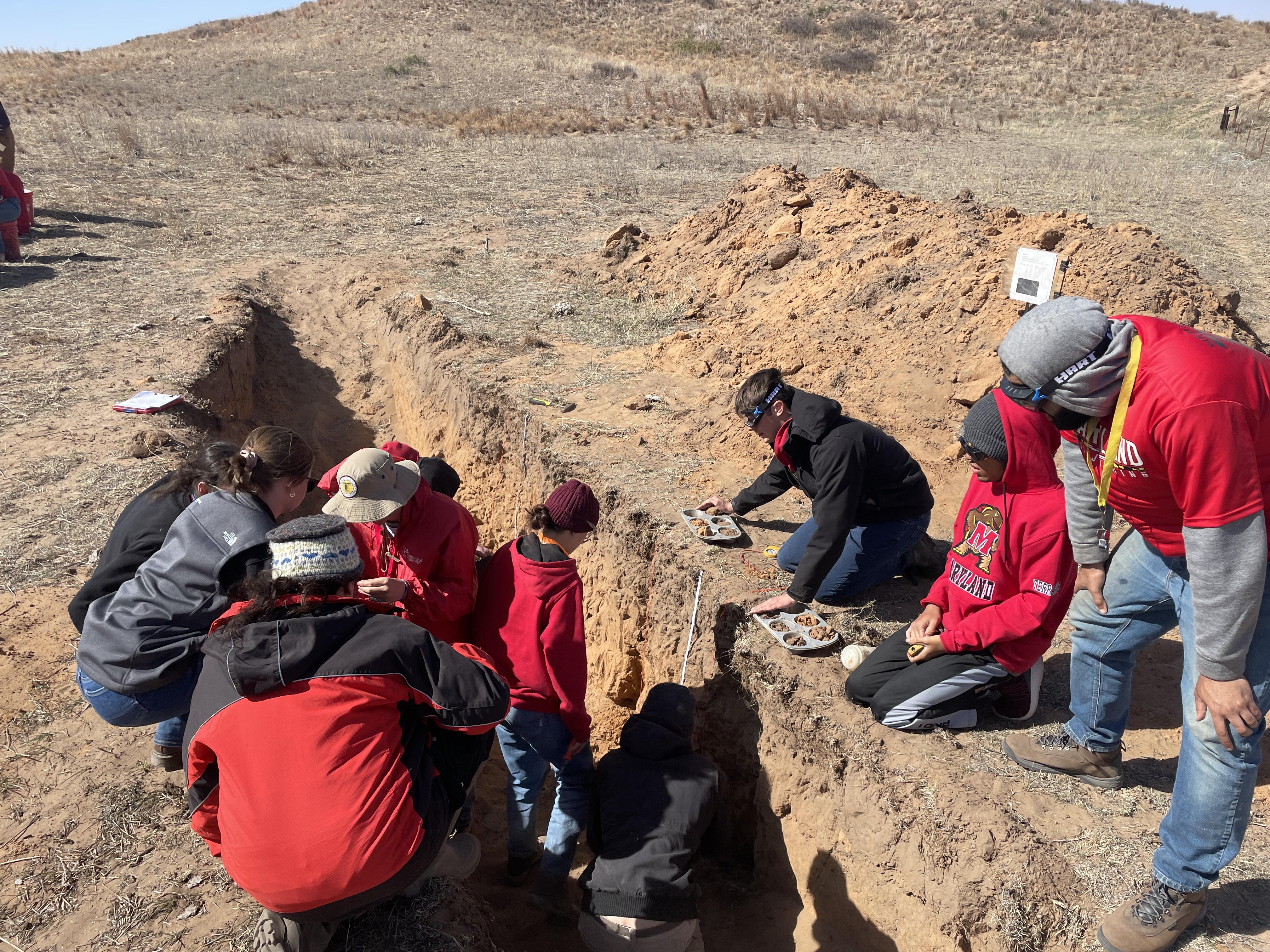 A group of students stand in a pit evaluating soil while others stand on the edge to assist.