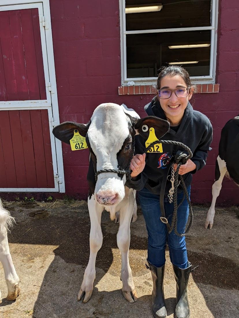 Ayeesha Fadlaoui. A happy student standing next to a Holstein.