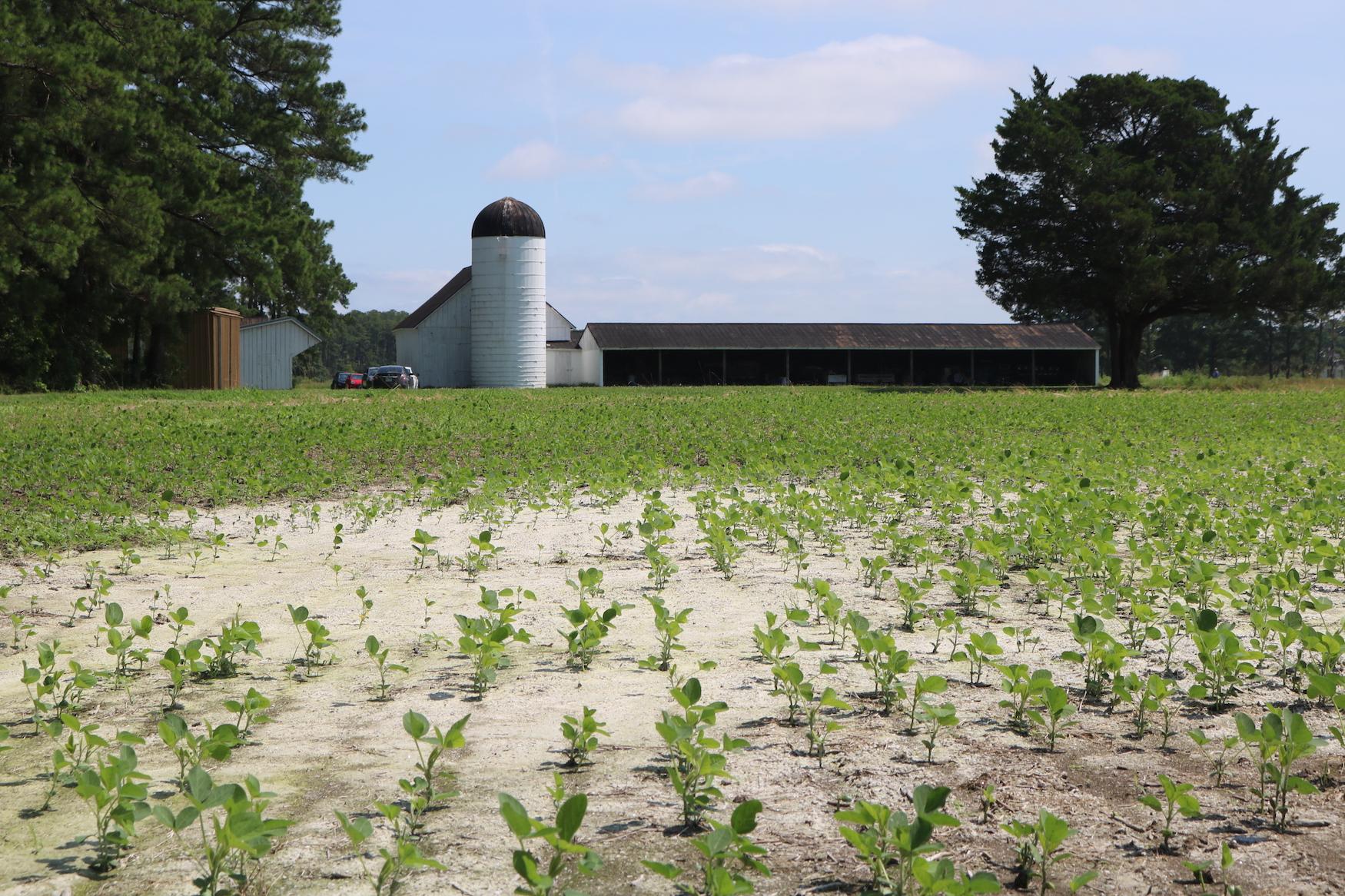 A photo of a silo in a farm field