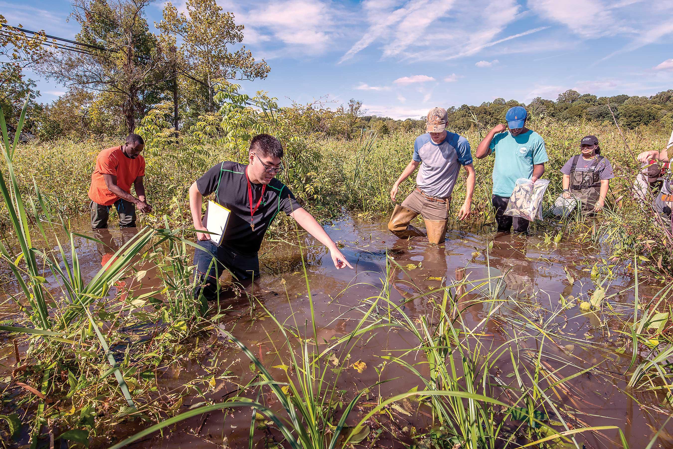 Students in wetland