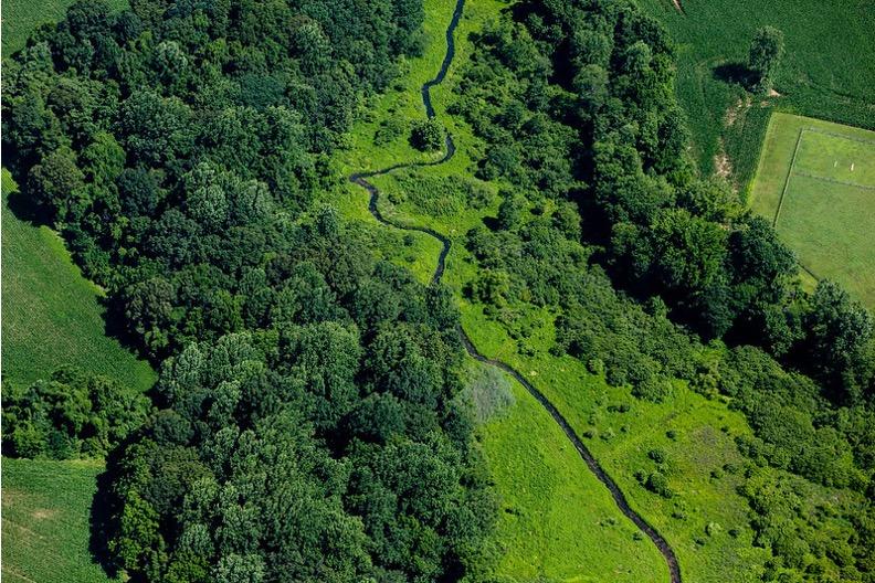 An aerial view of forests