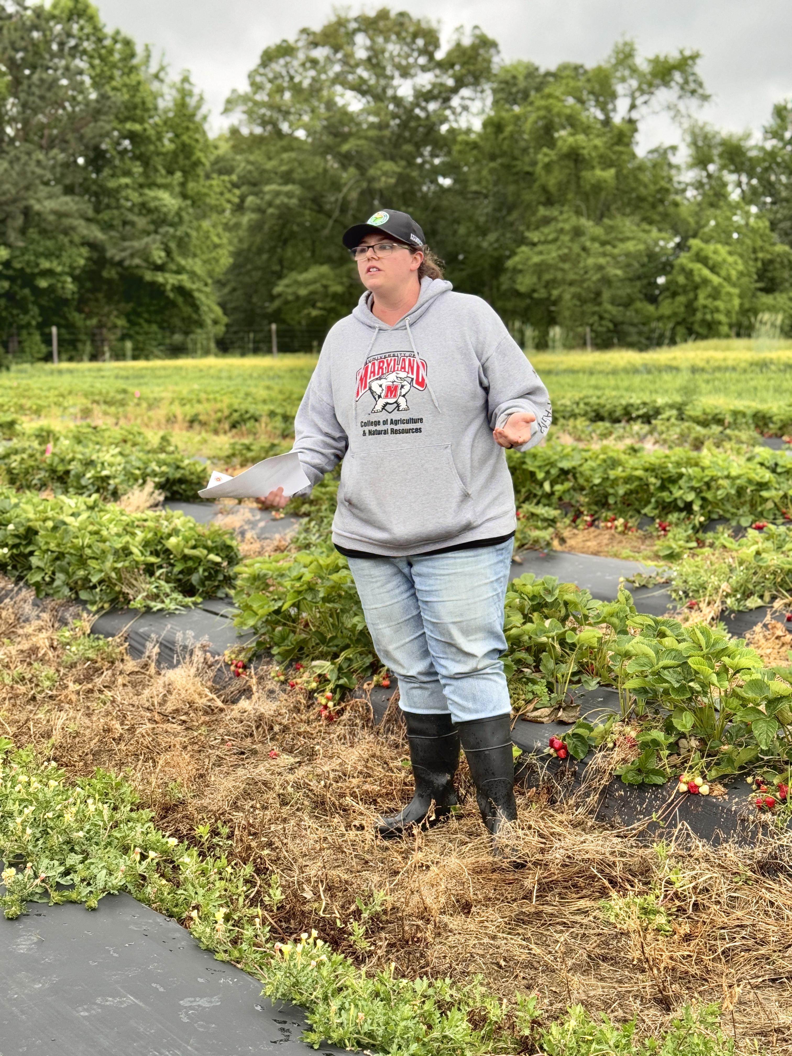Graduate student Sam Hasselhoff gives a presentation in a strawberry research field at the Wye REC.