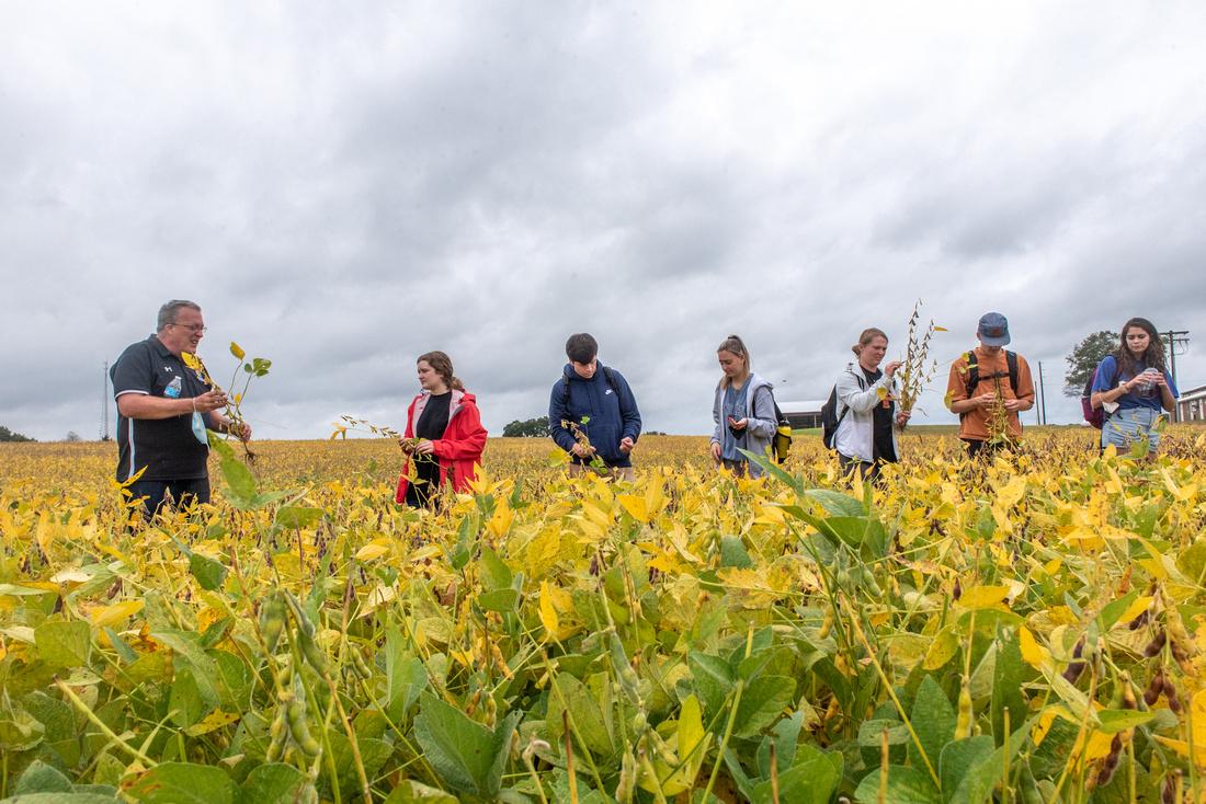 Teacher with students in a field of flowers