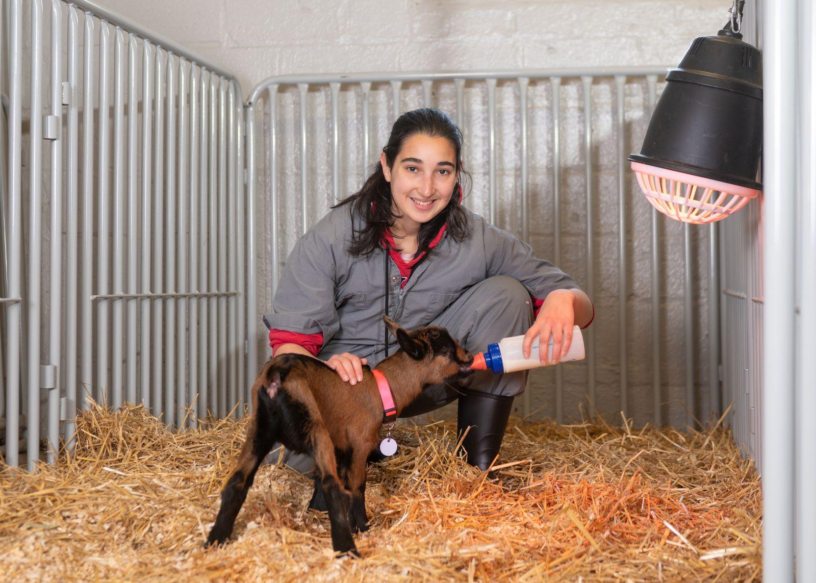 Student holding a goat at the Campus Farm