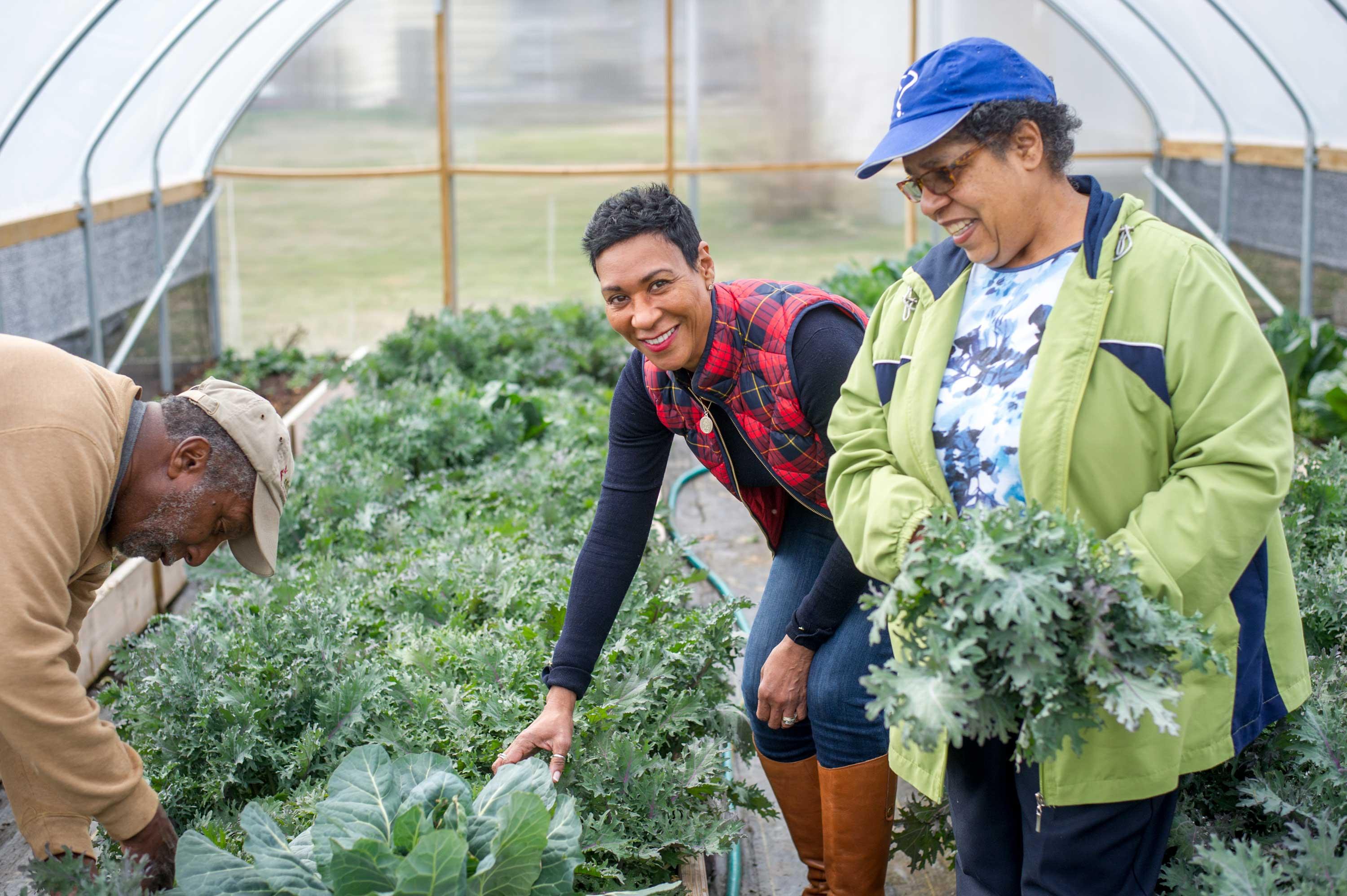 Extension members in a high tunnel