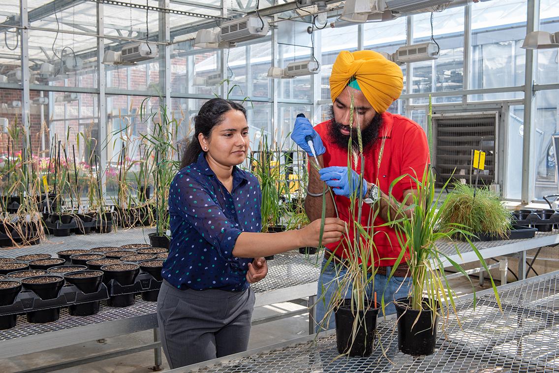 Two grad students in the greenhouse