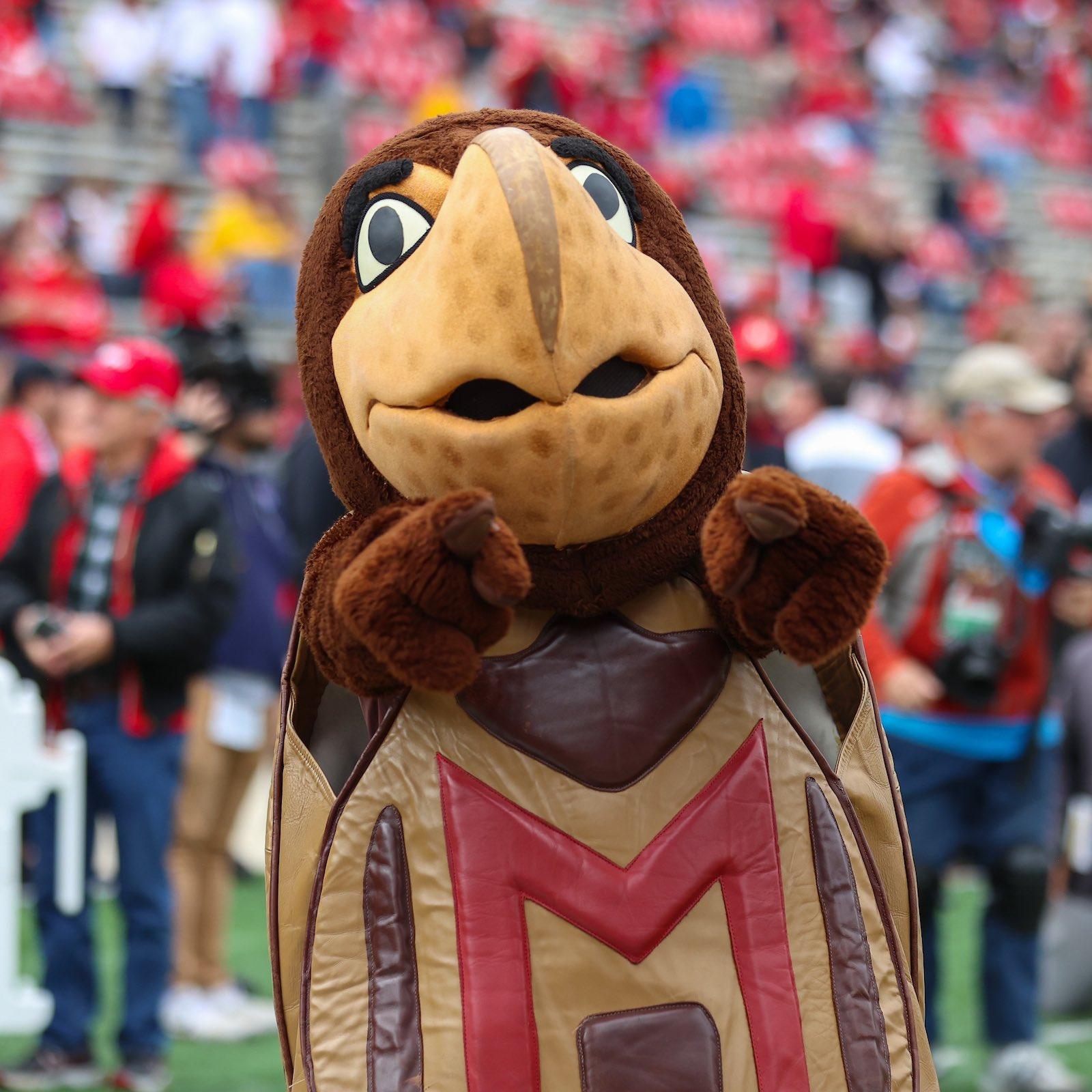 Testudo mascot pointing at camera with both hands