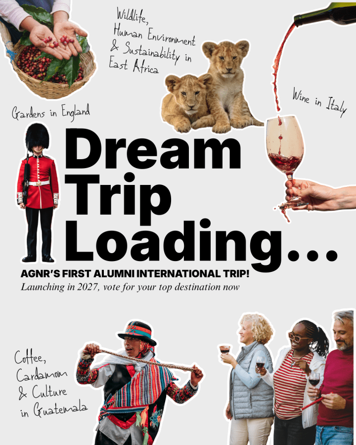 Travel Abroad Graphic