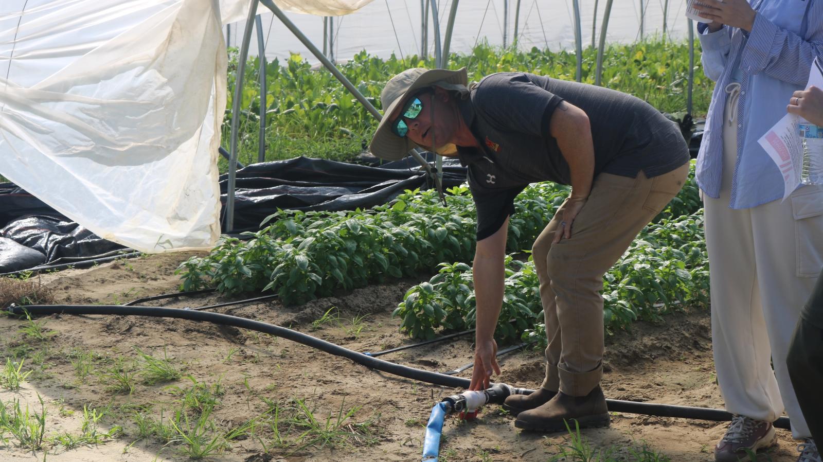 Man pointing to drip irrigation system 