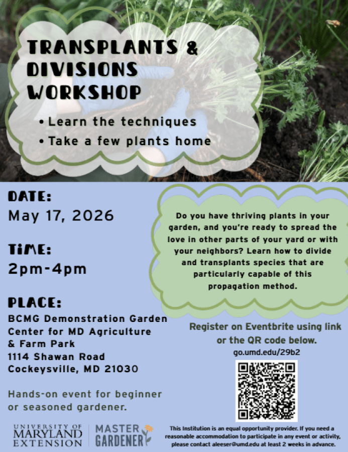 Flyer for event with date, time and details.
