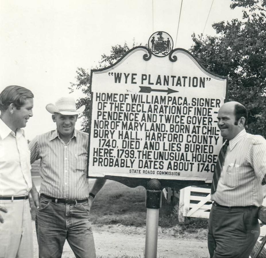 Wye Angus History