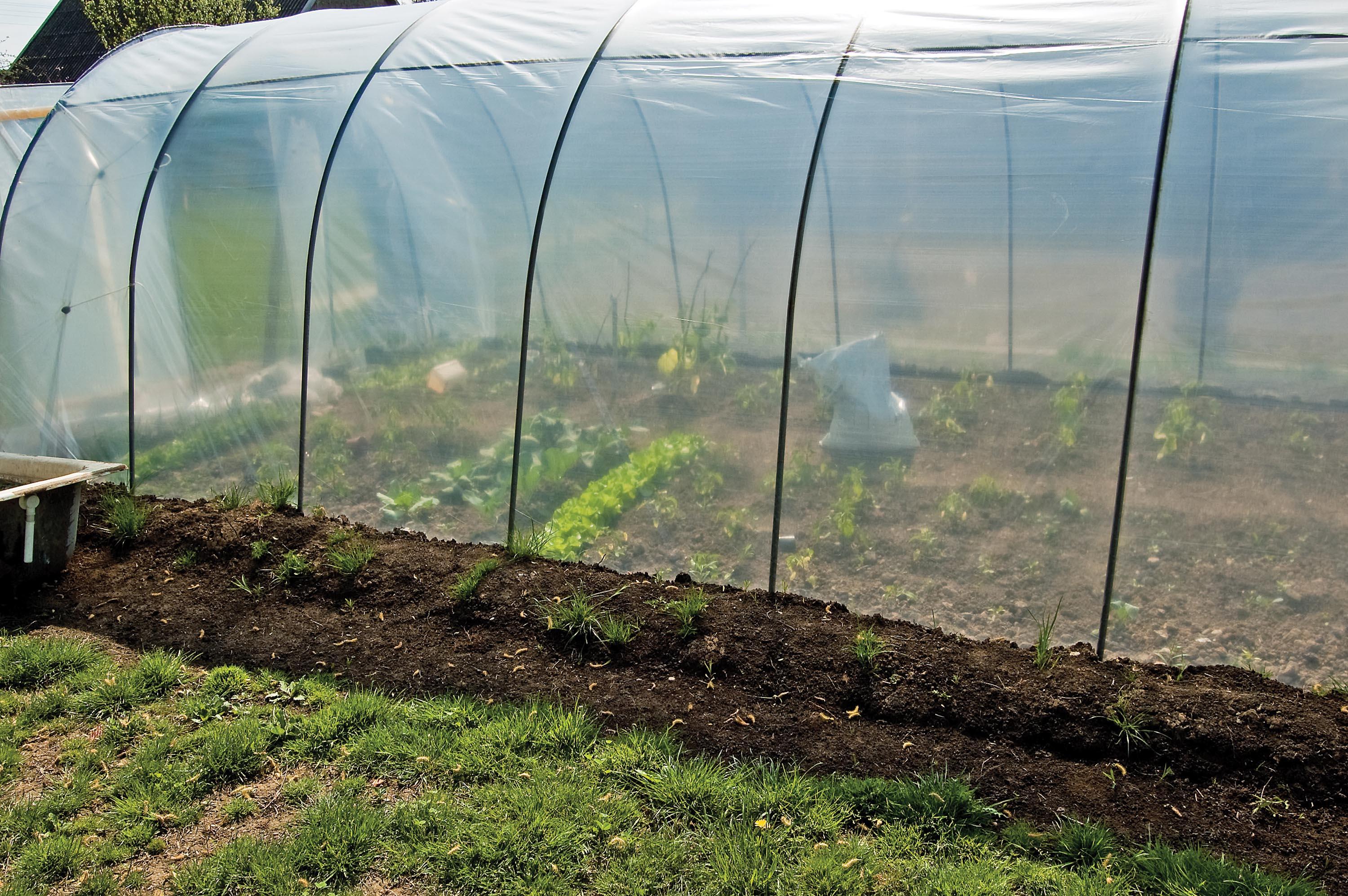 Farming in the City | College of Agriculture & Natural Resources at UMD