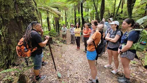 New Zealand Immersion Course in Forest