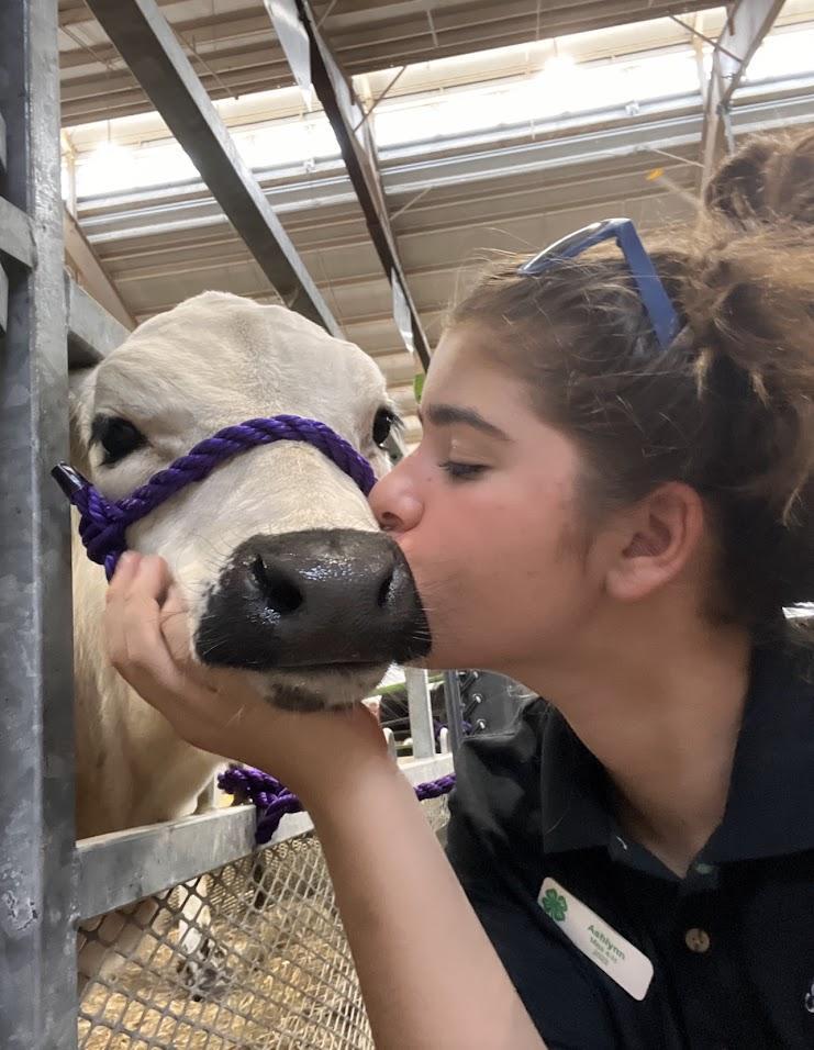 A proud 4H'er and her white bovine pal.