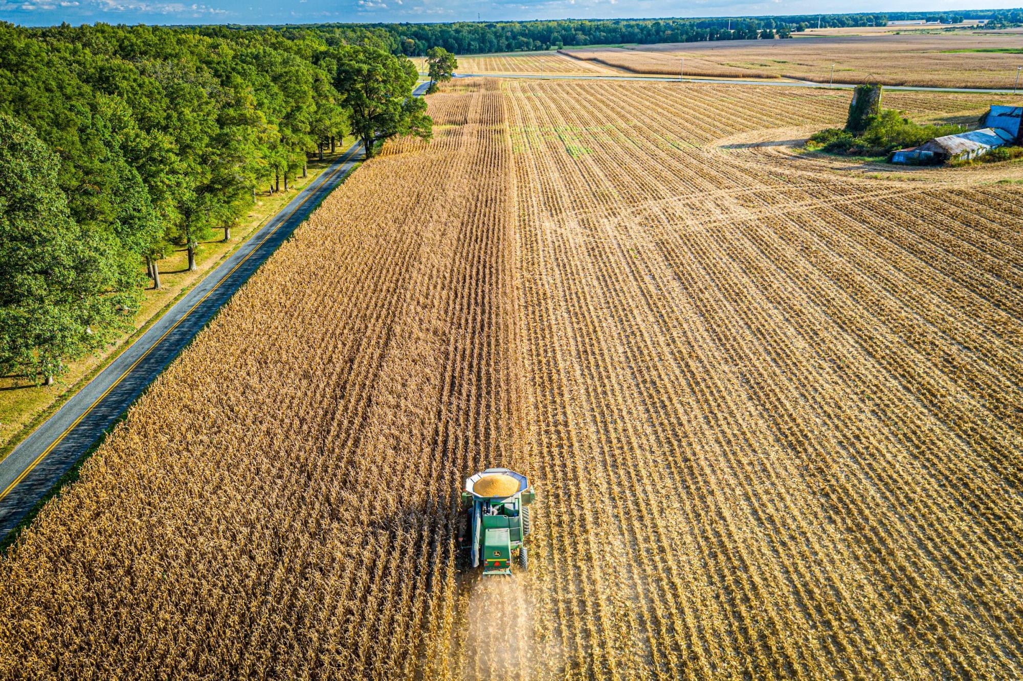 Birds-eye view of tractor on a grain field
