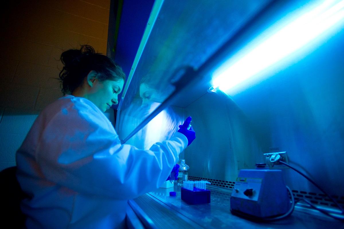 Researcher in the lab