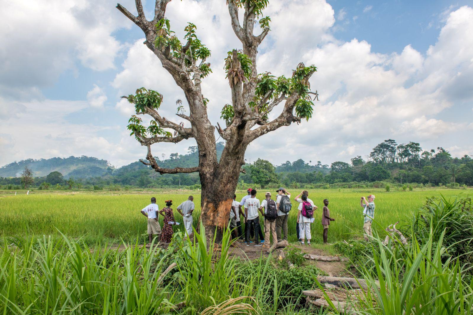UMD researchers studying in a field in Africa
