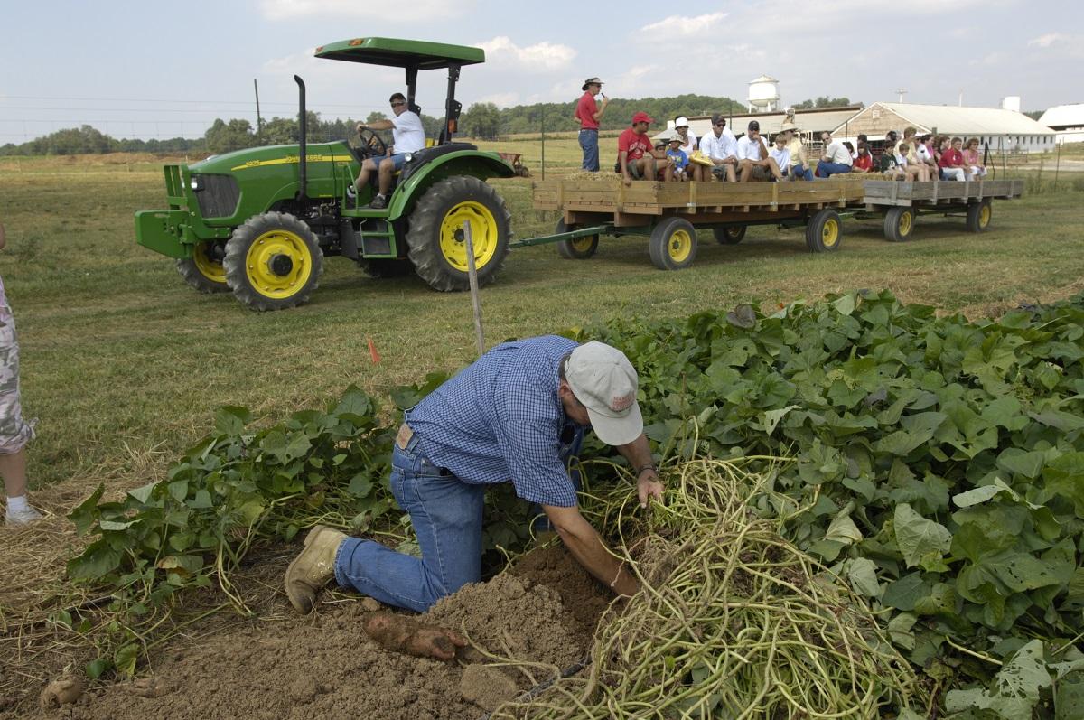 Employee in a field at a REC