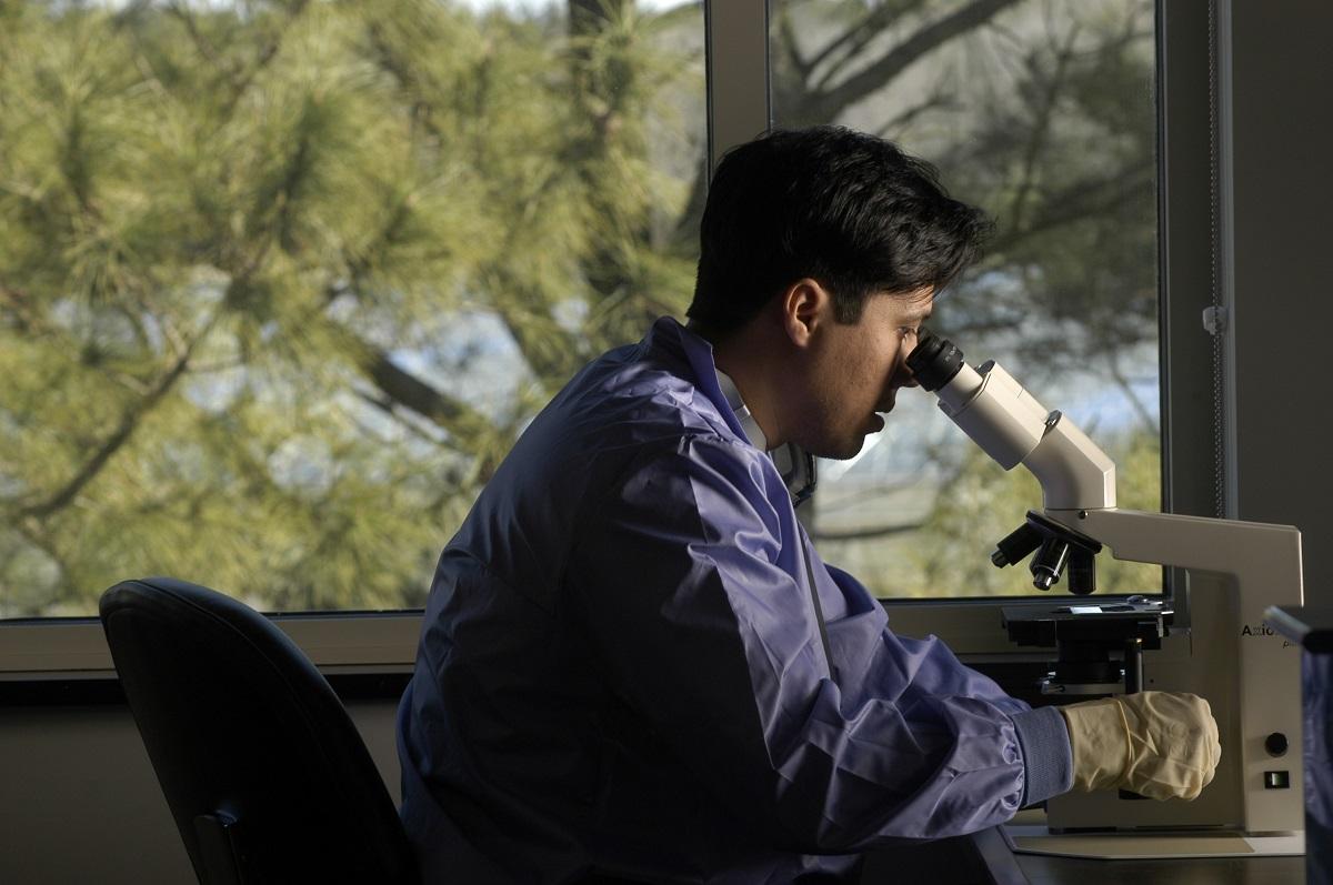 Researcher looking into a microscope